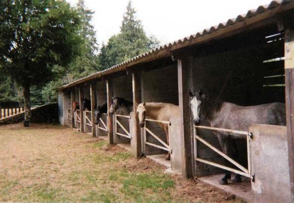 boxes à chevaux (Copier)